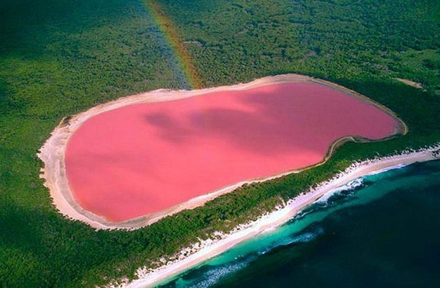 オーストラリアのピンクの湖の写真